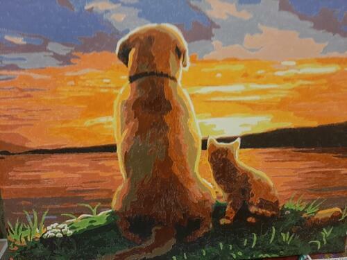 Фотографии готовых работ картин по номерам и алмазной мозаики