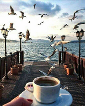 Без бренда «Кофе с видом на чаек» в Нижнем Тагиле