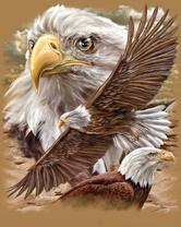 Без бренда «2KMB-4315» в Нижнем Тагиле