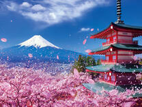 Без бренда «2KSB-7277» в Нижнем Тагиле