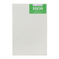 Без бренда «Коробка 80 шт.: Холст Две картинки на подрамнике 20X30» в Нижнем Тагиле