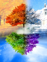 Без бренда «BOX10-2KLB-6100» в Нижнем Тагиле