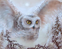 Без бренда «Полярная сова над лесом (20шт)» в Нижнем Тагиле