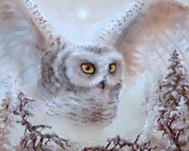 Без бренда «Полярная сова над лесом (20шт)» в Нижнем Тагиле