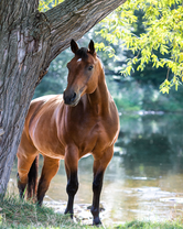 Без бренда «BOX20-2KMB-4594» в Нижнем Тагиле