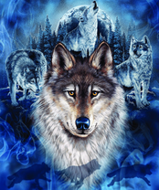 Без бренда «BOX40-2KXSB-0687» в Нижнем Тагиле