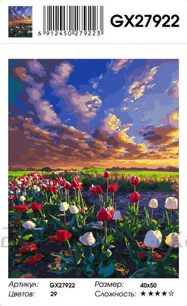 Картина по номерам 40x50 Тюльпаны и пушистые облака