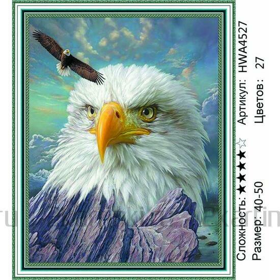 Алмазная мозаика 40x50 Портрет горного орла