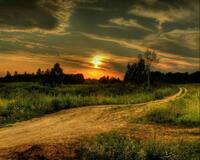 Без бренда «Проселочная дорога на закате» в Нижнем Тагиле