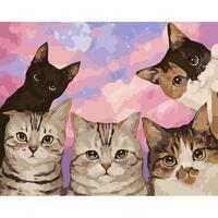 Без бренда «Такие разные котики» в Нижнем Тагиле