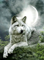 Без бренда «Коробка 25 шт. картин по номерам BOX25-GX21058» в Нижнем Тагиле