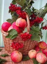 Без бренда «Коробка 25 шт. картин по номерам BOX25-GX5174» в Нижнем Тагиле в интернет-магазине  Без бренда «Коробка 25 шт. картин по номерам BOX25-GX5174» в Нижнем Тагиле