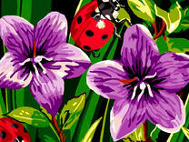 Колокольчики и божьи коровки