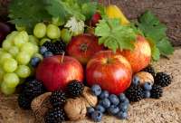 Без бренда «Фрукты, ягоды и орехи» в Нижнем Тагиле