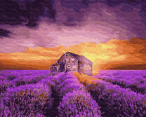 Лавандовое поле и дом фермера