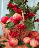 Без бренда «Плетёная корзина с калиной и яблоками» в Нижнем Тагиле