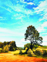 Без бренда «Осенний пейзаж с голубым небом» в Нижнем Тагиле