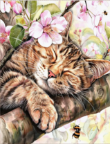 Без бренда «Волосатый котик спит на ветви яблони» в Нижнем Тагиле