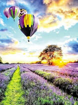 Солнце над лавандовым полем и воздушные шары