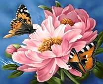 Бабочки и на цветке пиона